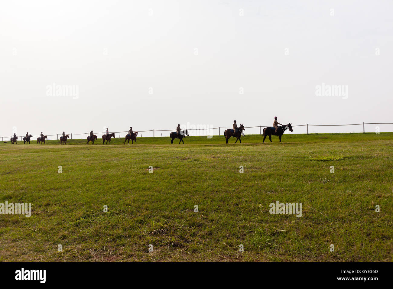 Race horses riders silhouetted countryside morning training landscape ...