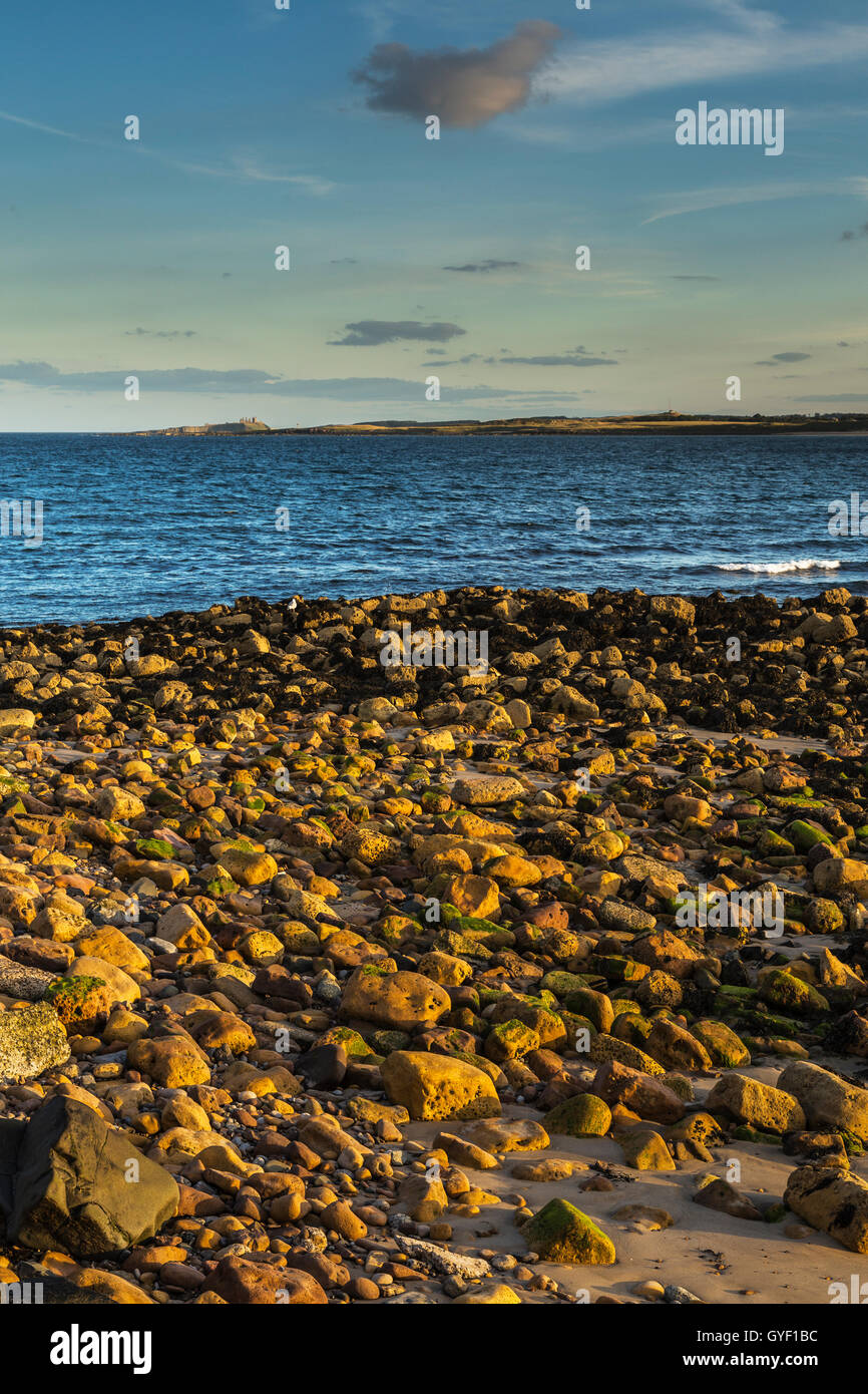 Rocks on Foreshore at Looking South Across Beadnell Bay towards ...