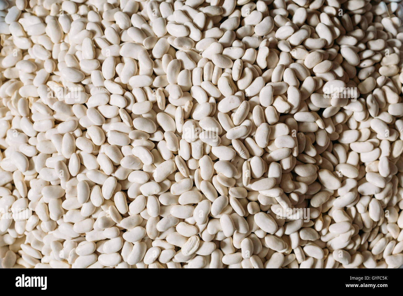 Close View Of The Heap Of Raw White Clean Dry Beans Or Haricot Beans, Navy Beans, Smooth, Plump, Kidney-Shaped For Sale At Marke Stock Photo