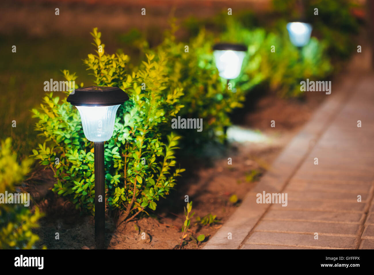 Decorative Small Solar Garden Light, Lanterns In Flower Bed In Green Foliage. Garden Design