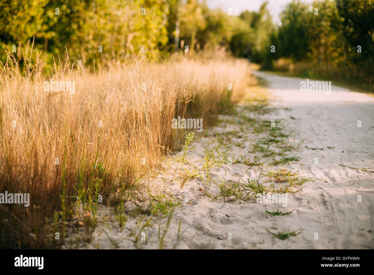 Roadside path pathway hi-res stock photography and images - Alamy