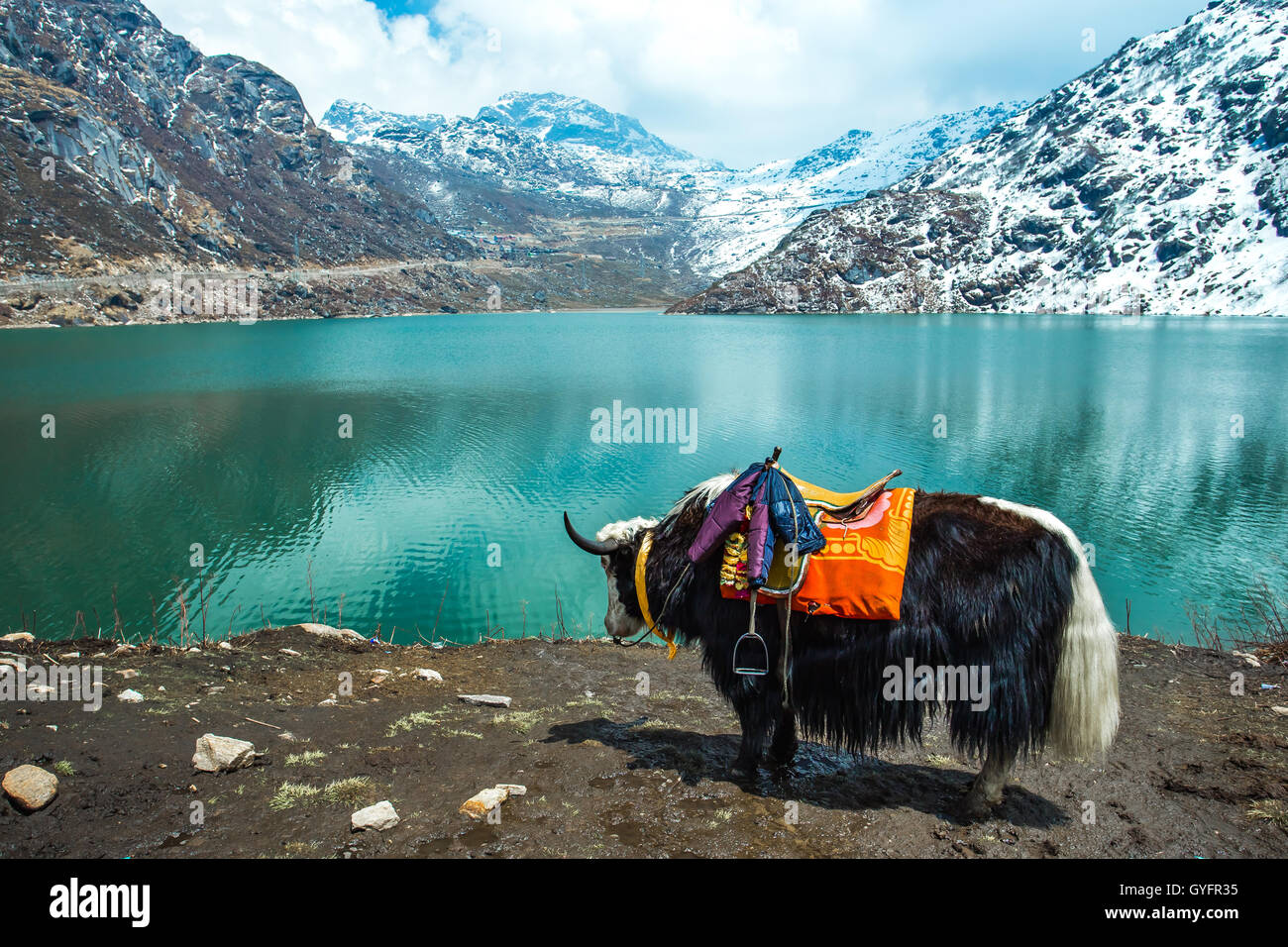 Tsangmo Lake in Sikkim, India. Stock Photo