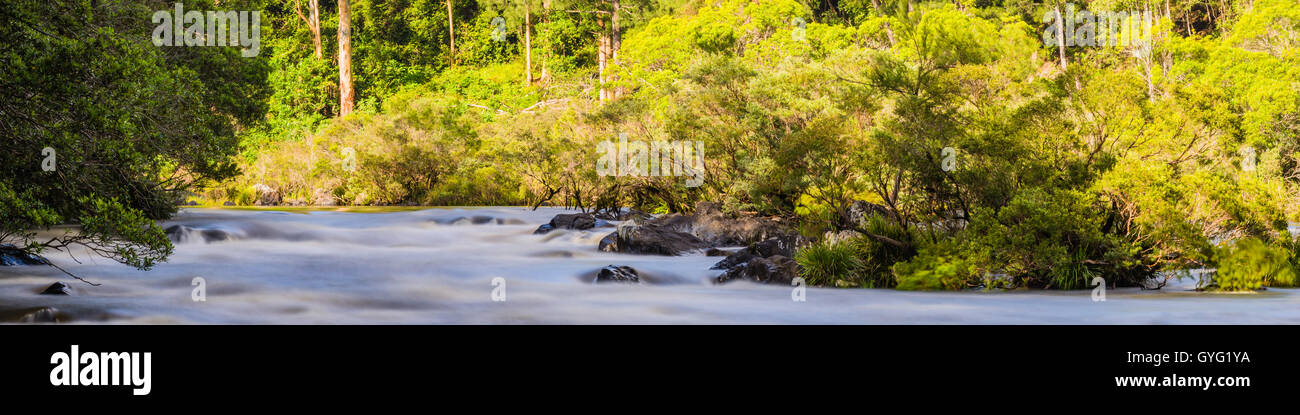 Scenic view of raging river flowing through forest Stock Photo