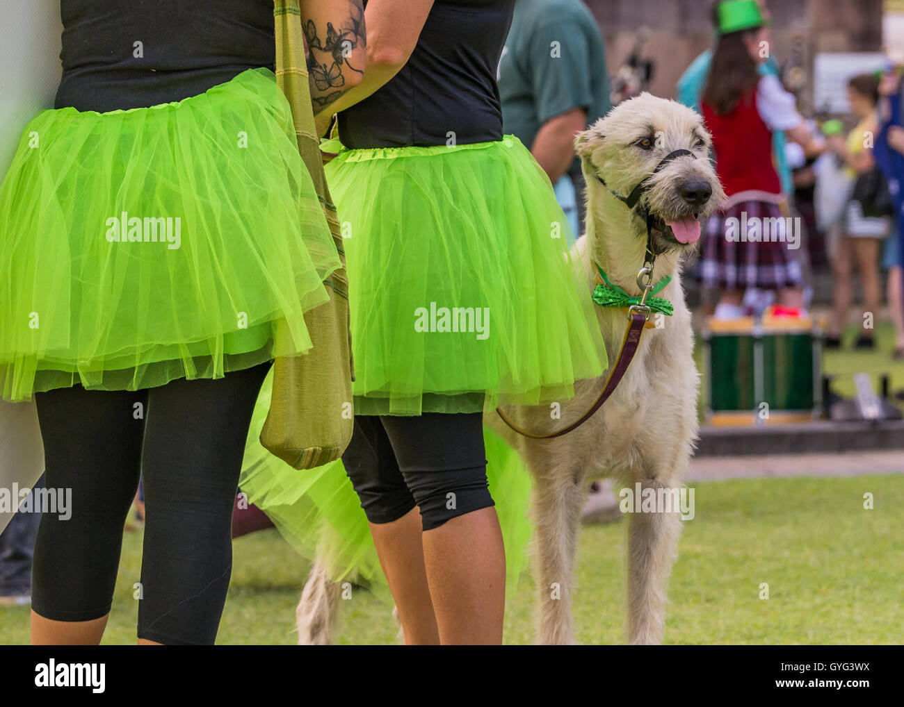 st paddys day parade brisbane