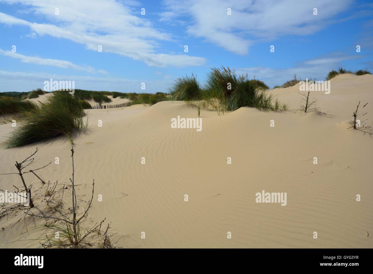 Formby Beach in England Stock Photo - Alamy