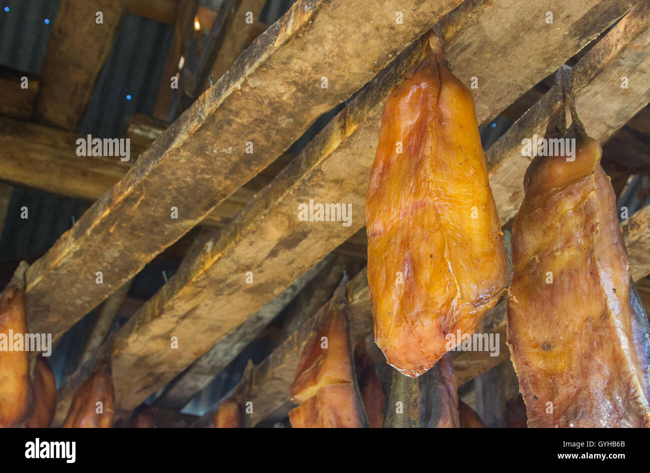 Iceland's fermented shark at Bjarnarhofn Shark Museum (drying house