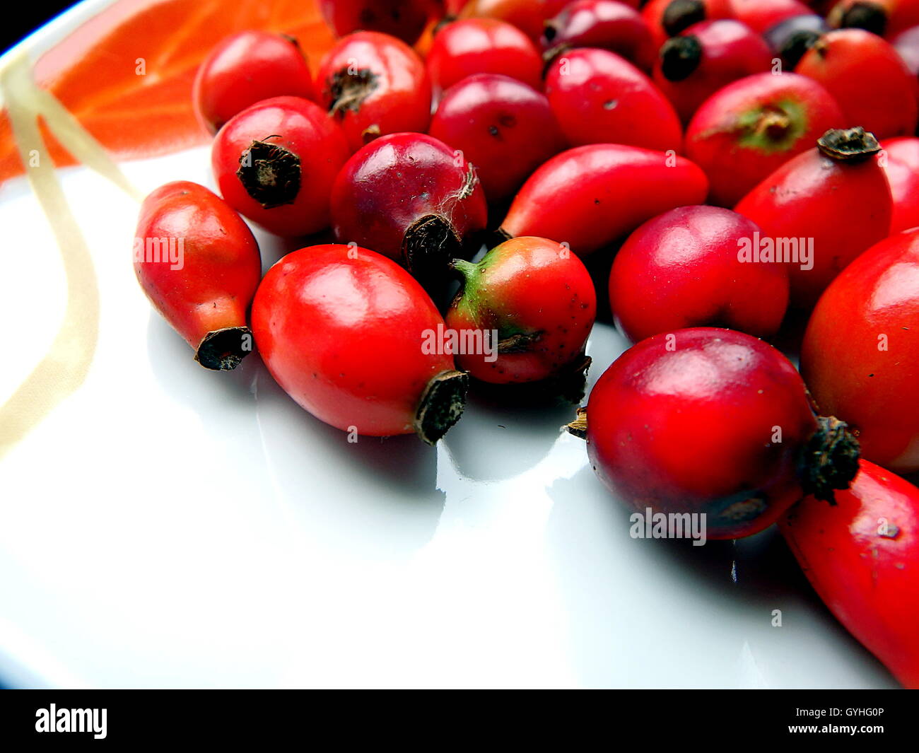 Rose Hips ,background rose hips Stock Photo - Alamy
