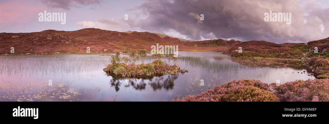 Tree island on Dock Tarn in the fells above Watendlath in the English Lake District on a later summer's evening panorama Stock Photo
