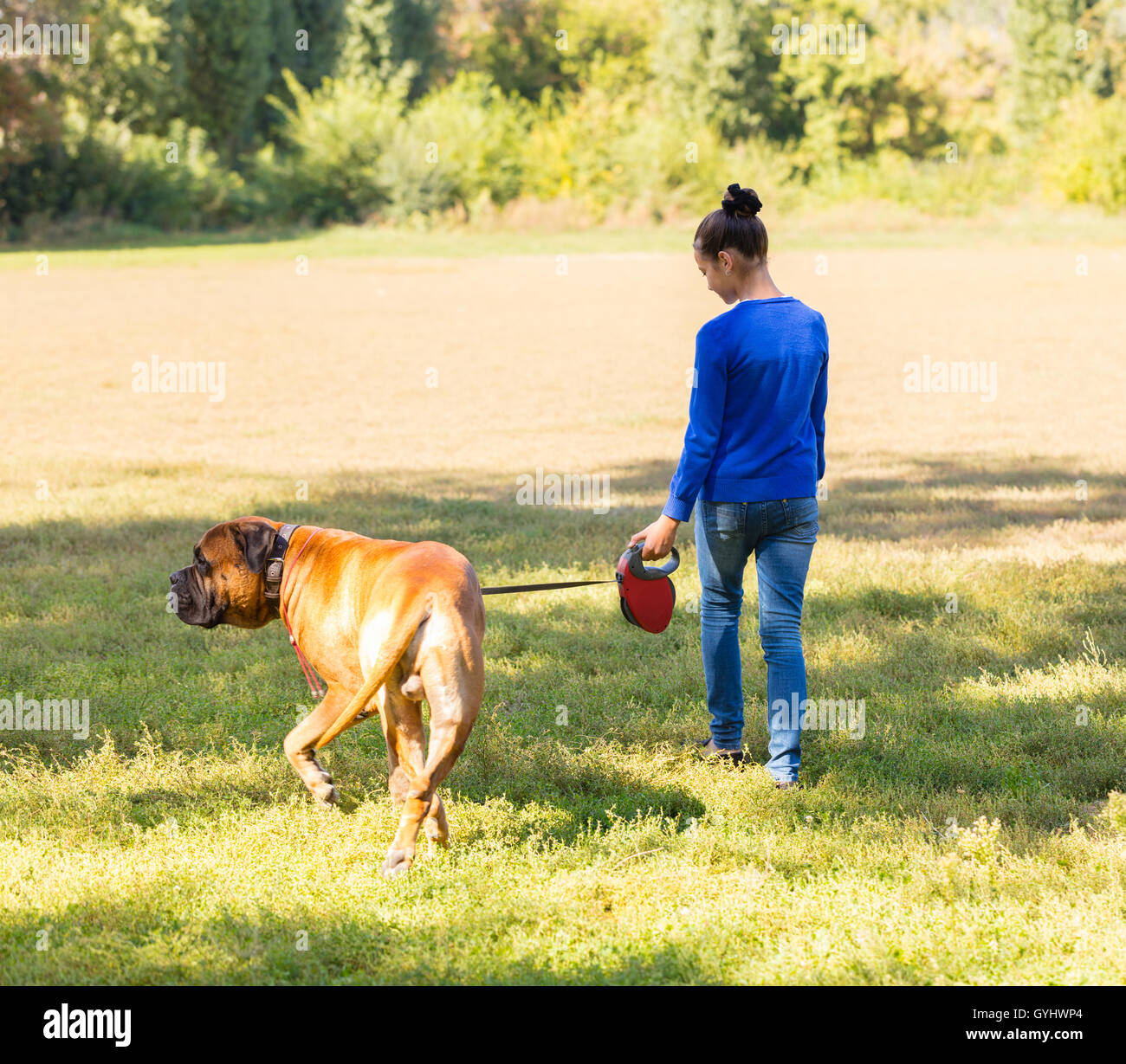 Teen girl walking dog hi-res stock photography and images - Alamy