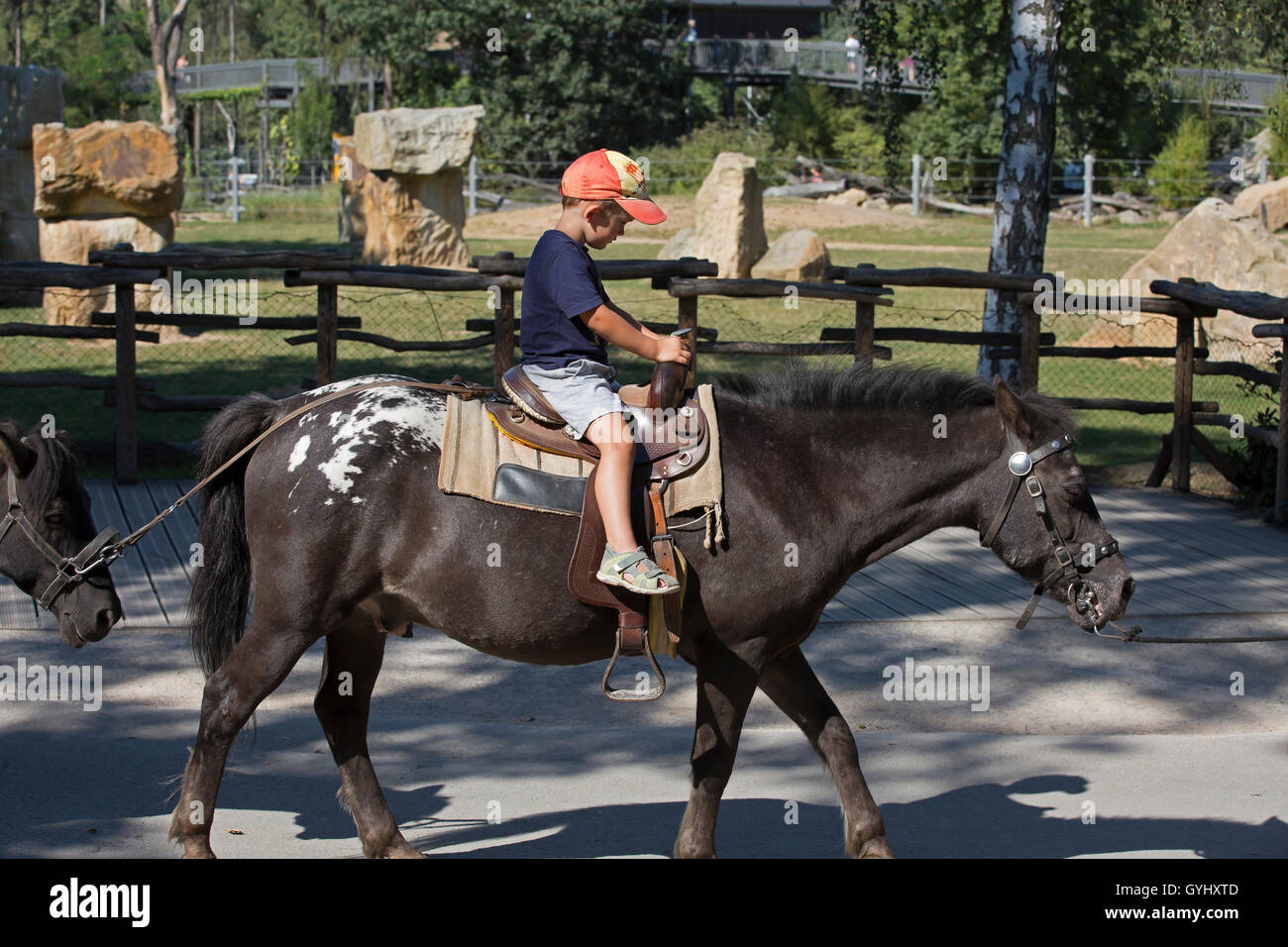 A child rides on a pony in Prague Zoo Czech Republic which is the fourth largest in the World Stock Photo
