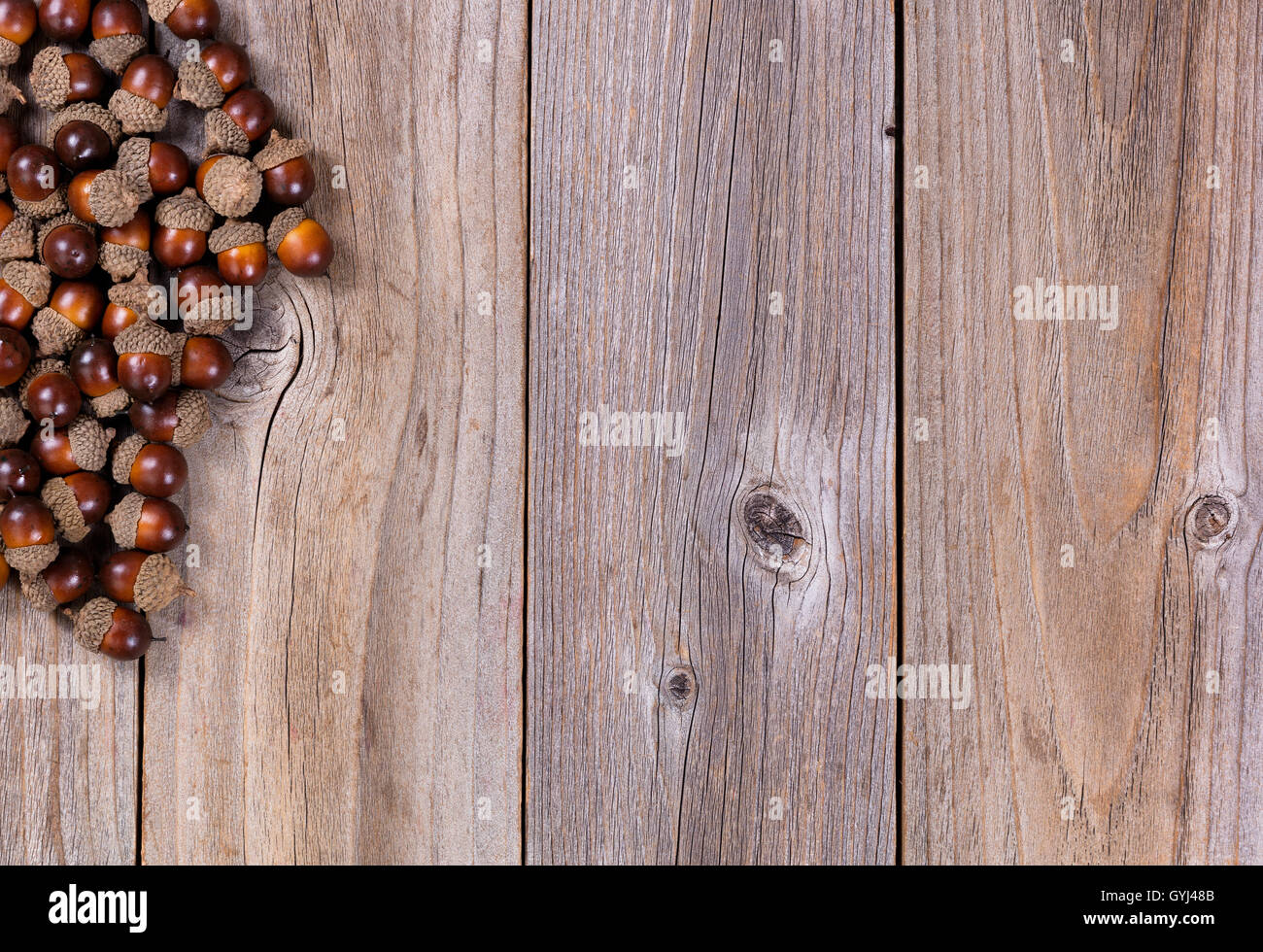 Overhead view of seasonal autumn acorn decorations, upper left corner ...
