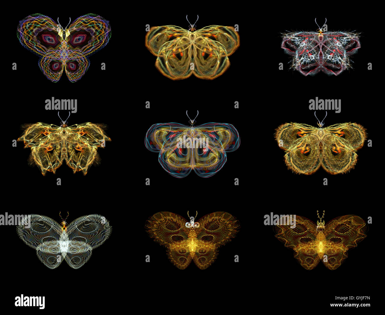 Digital Insect Virtual Butterfly Virtual Fractal Butterflies Stock Photo - Alamy