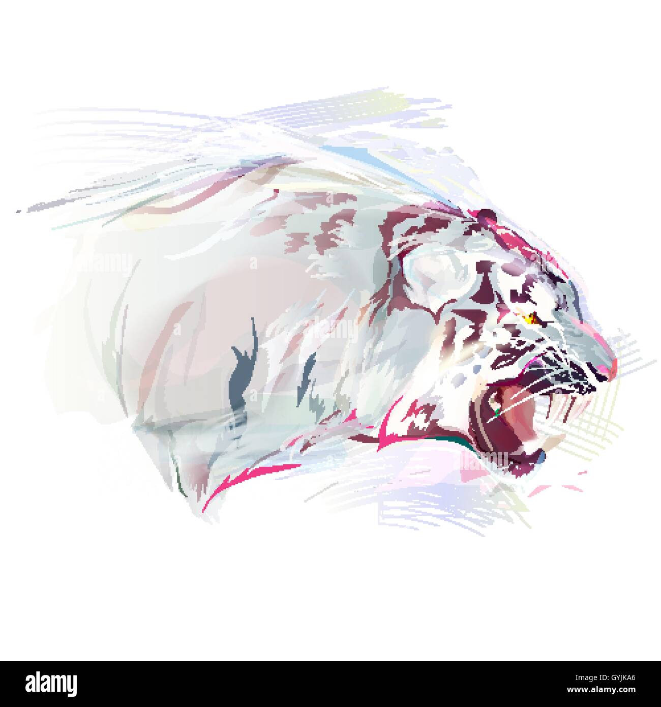 White Tiger, Watercolor Illustration Stock Vector