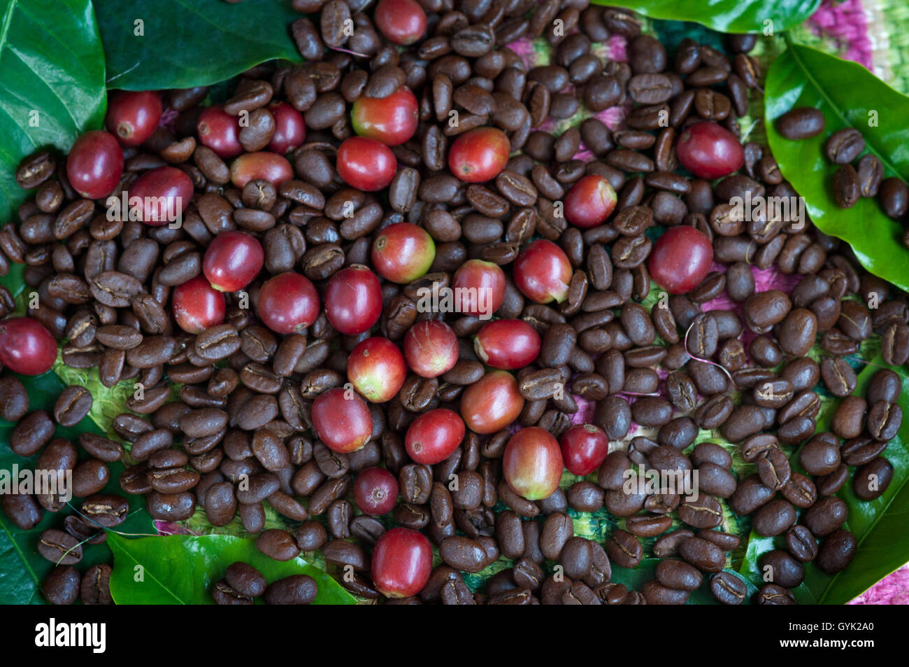 Different coffee beans after roasting hires stock photography and