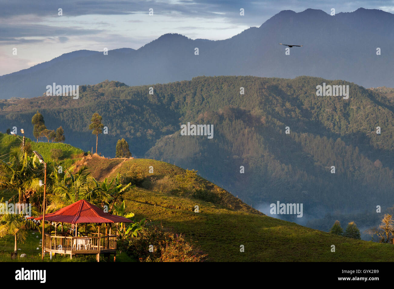 Sunset in National Park of Los Nevados, Colombia. The Los Nevados National Natural Park is located in the Central Cordillera in Stock Photo