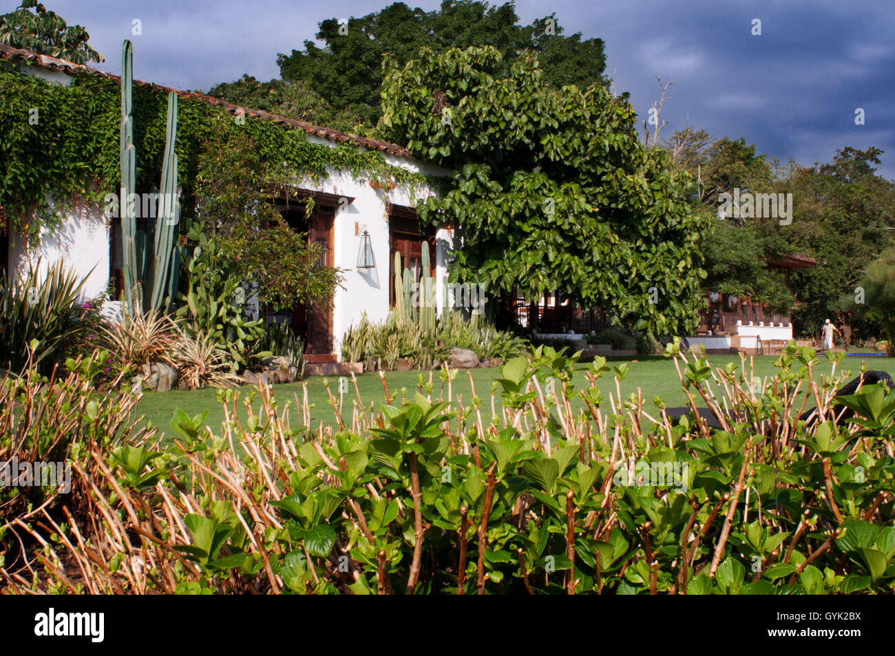 Hotel And Cottage El Delirio Quindío Colombia Colombian - 