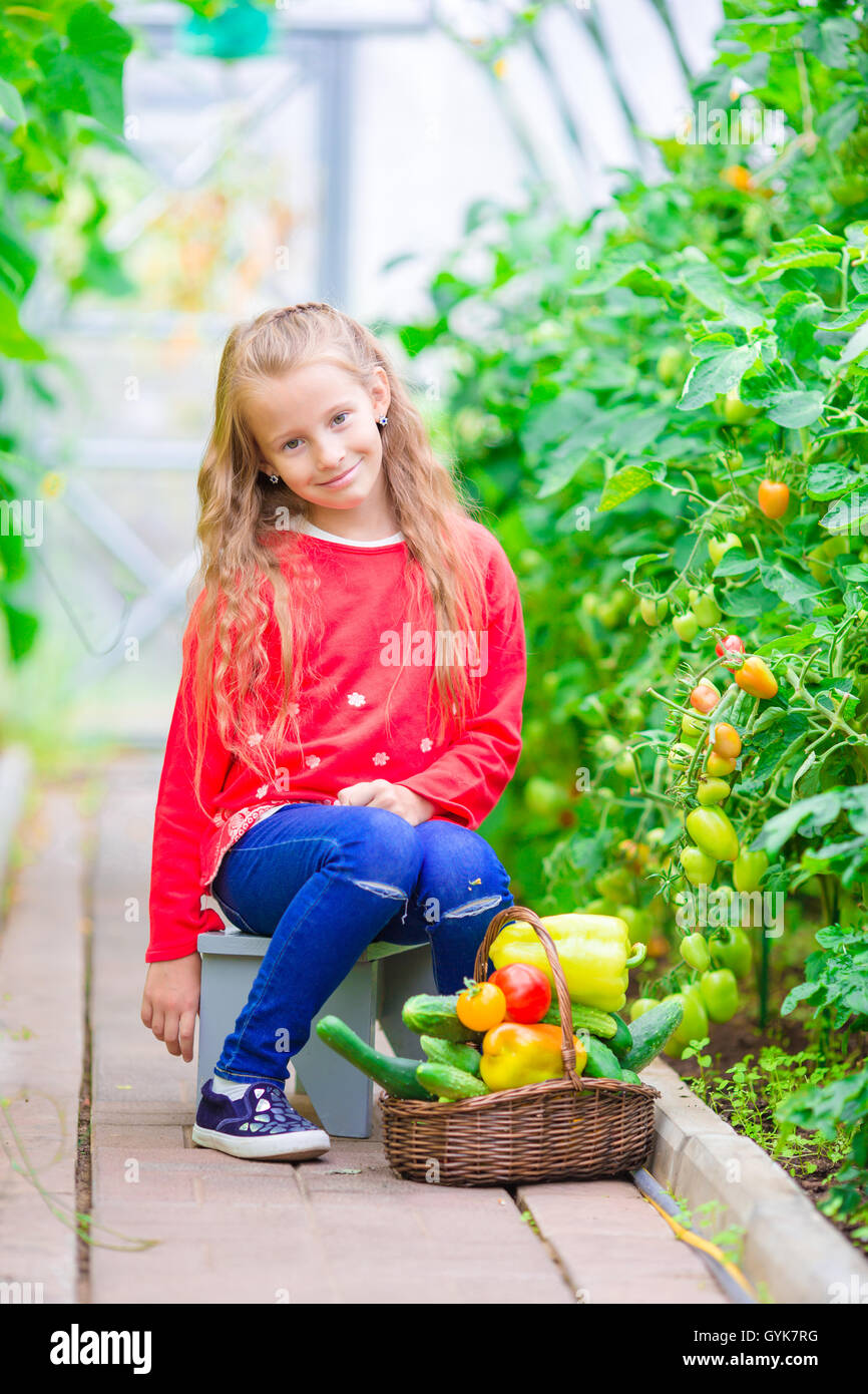 Little girl in greenhouse with basket full of harvest. Time to harvest ...