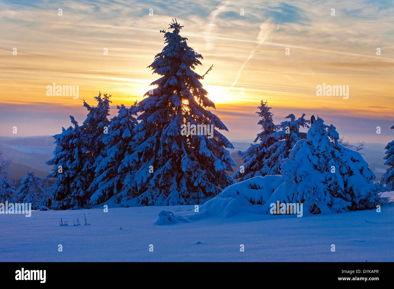 winter scenery of Kahler Asten at sunset, Germany, North Rhine-Westphalia, Sauerland, Winterberg Stock Photo