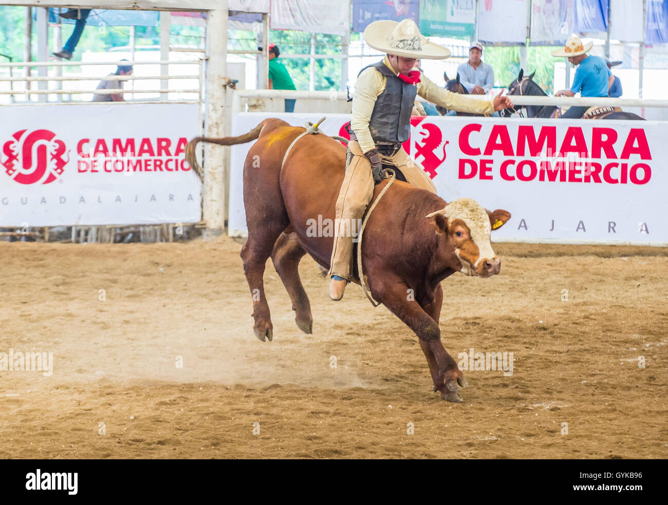 Charro Participates in a bull riding Competition at the 23rd ...