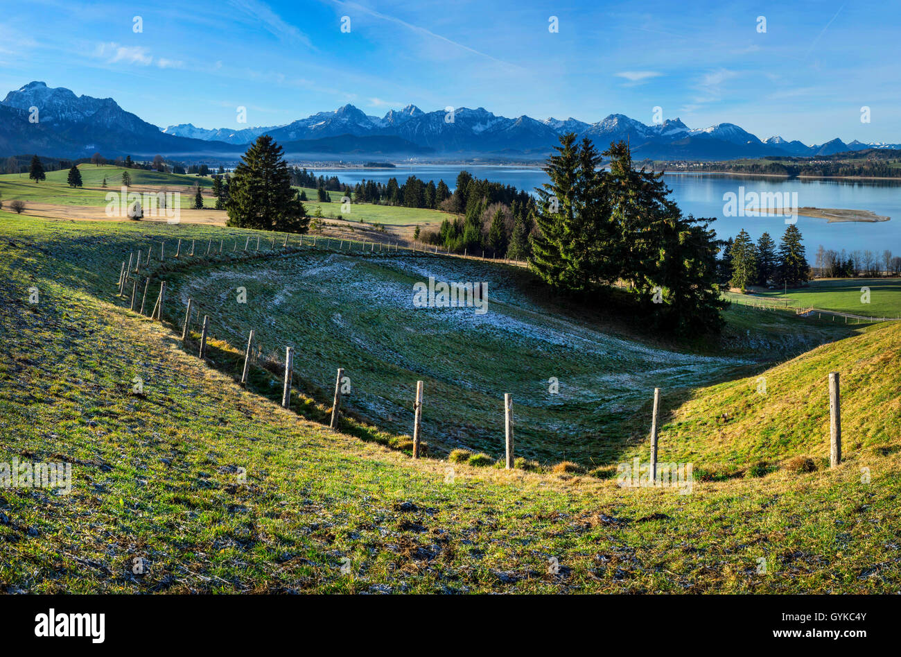 lake Forggensee and Tannheim Mountains, Germany, Bavaria, Oberbayern ...
