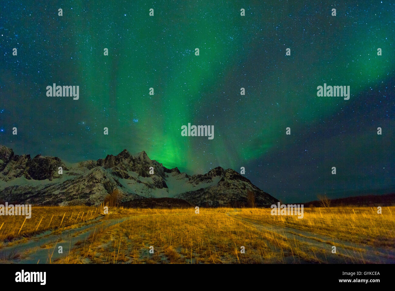 polar light over a mountain range, Norway, Mefjord, Senja Stock Photo