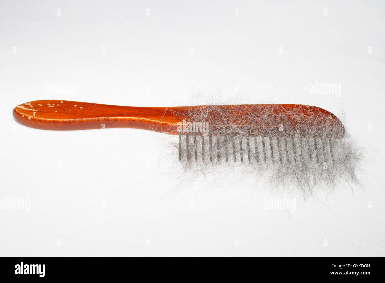 dog comb with dog hair of a husky crossbreed Stock Photo Alamy