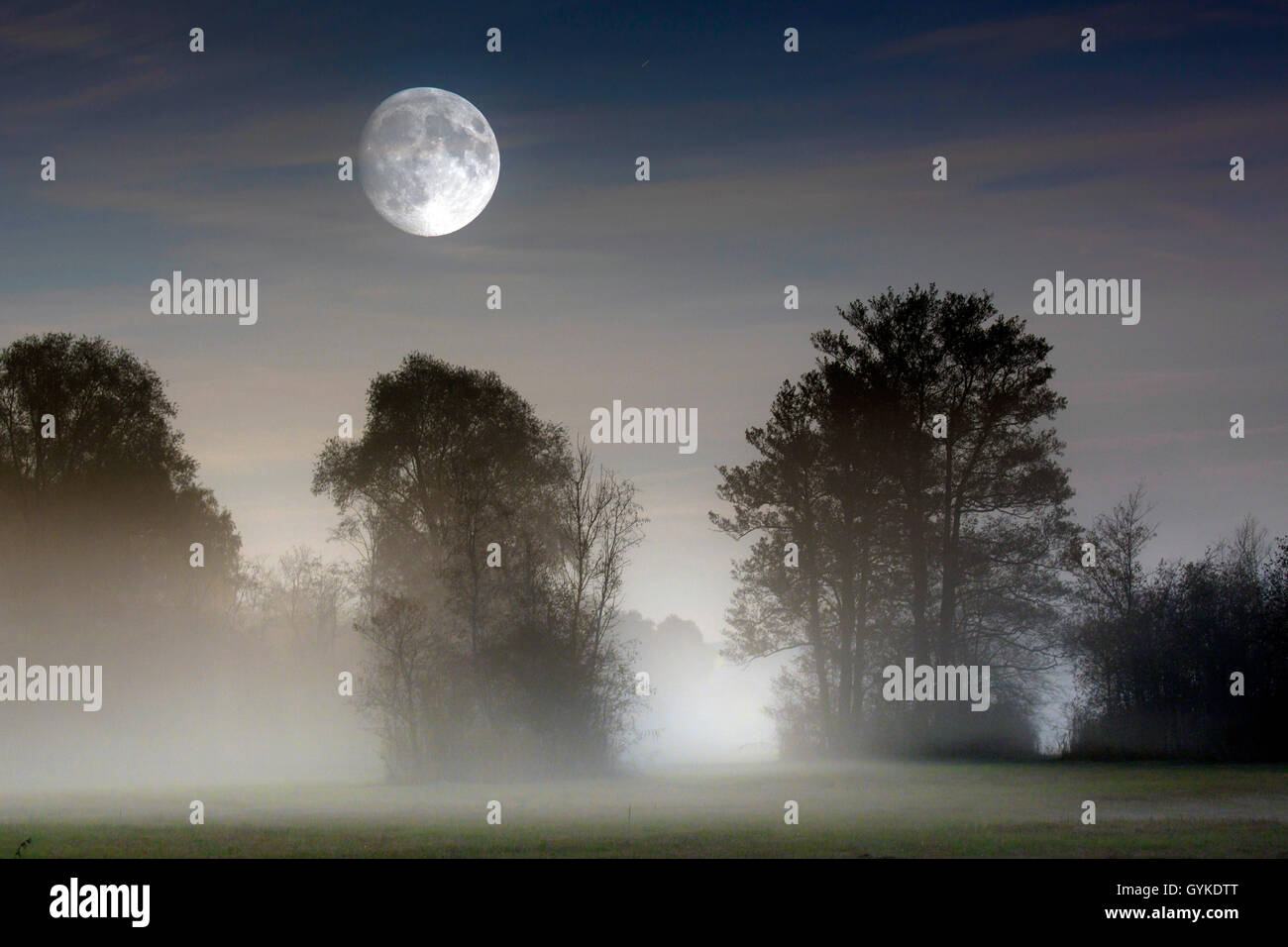 full moon over ascending mist on moorland, Germany, Bavaria, Grabenstaetter Moor Stock Photo