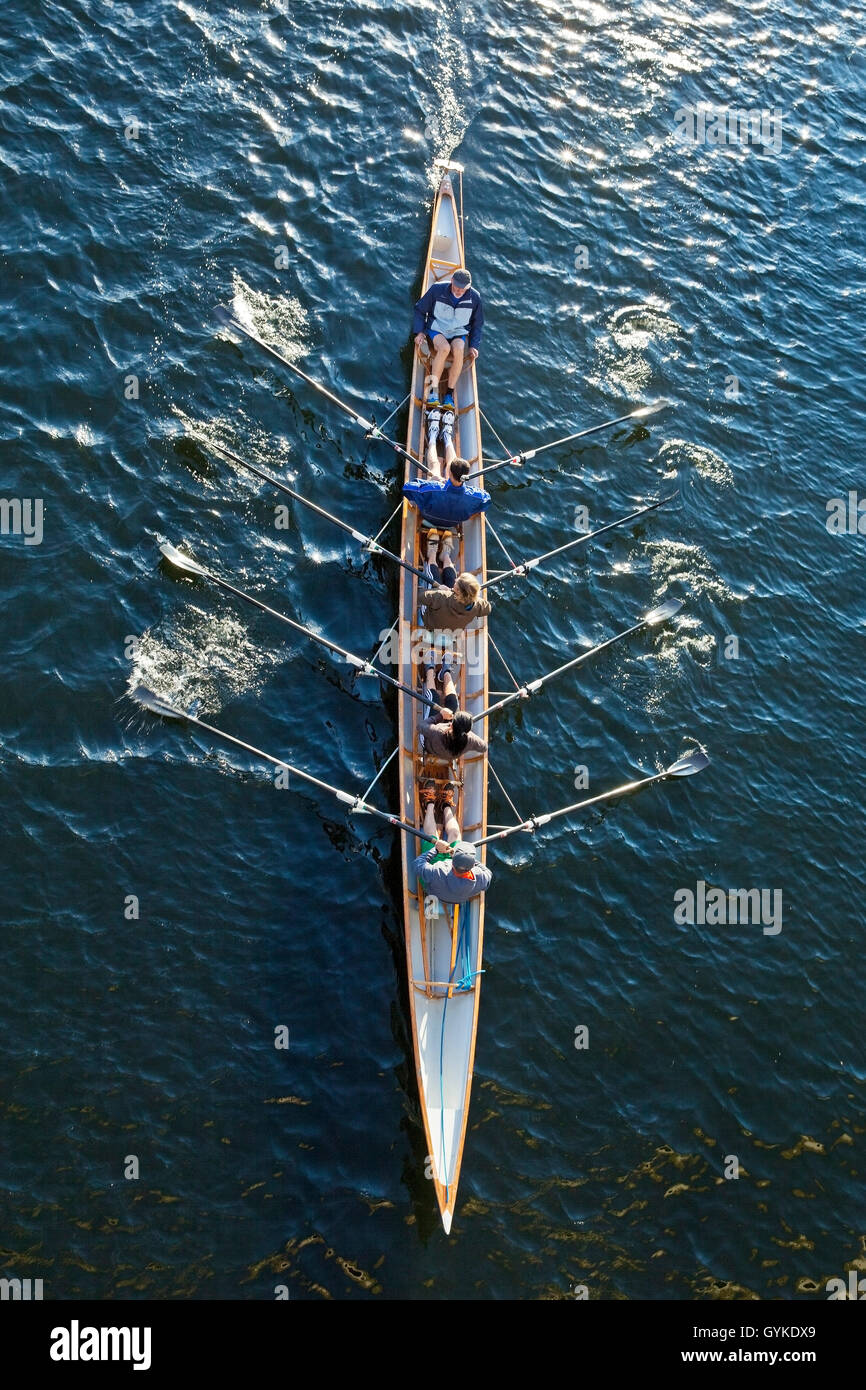coxed fours on Ruhr river, Germany, North Rhine-Westphalia, Ruhr Area, Hattingen Stock Photo