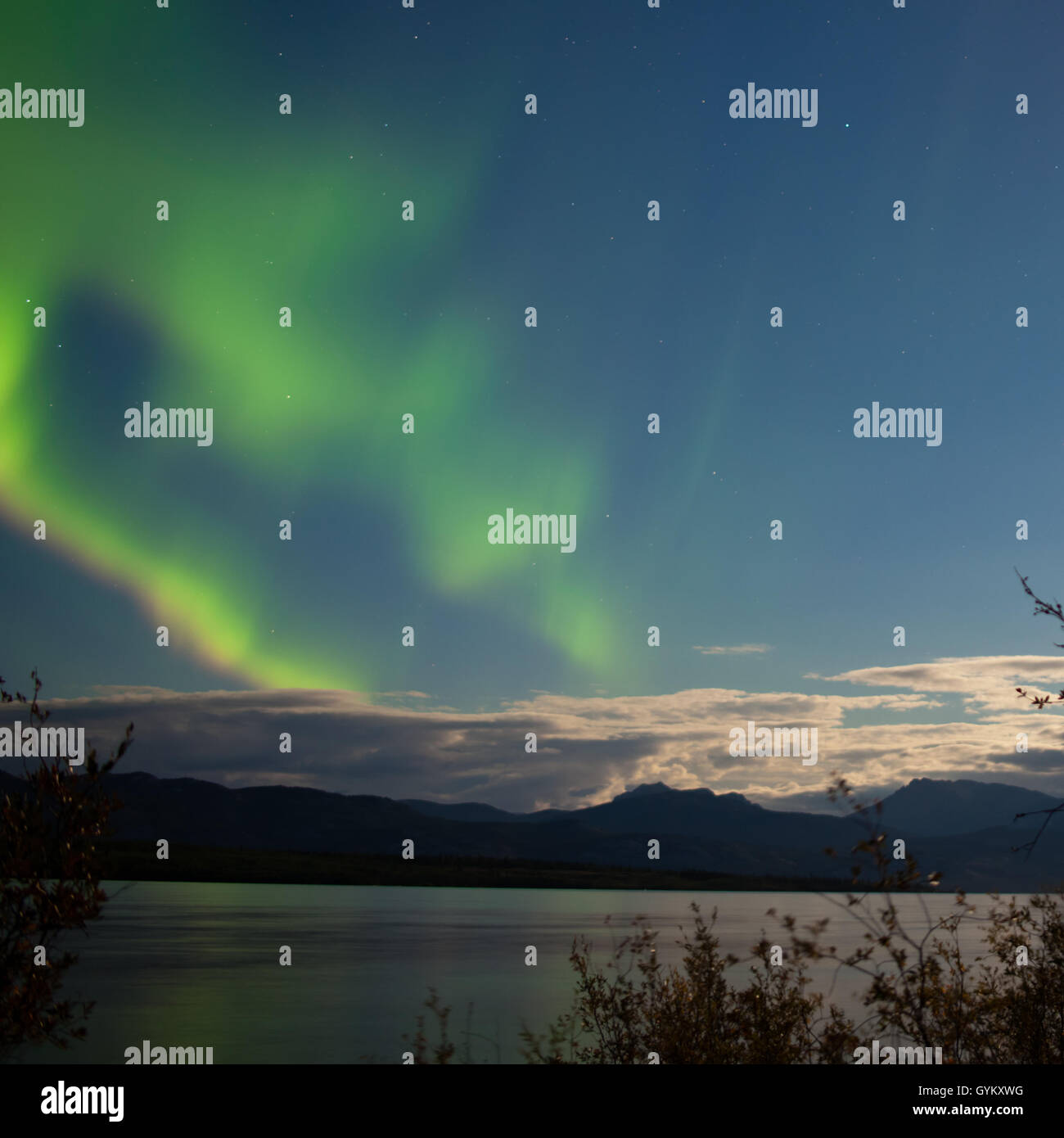 Aurora borealis moon-lit clouds over Lake Laberge Stock Photo - Alamy