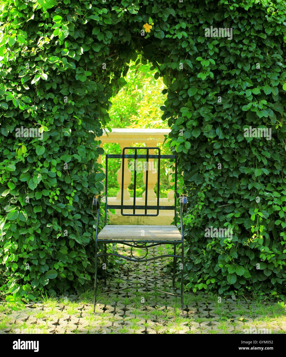 Metal chair in the garden Stock Photo Alamy