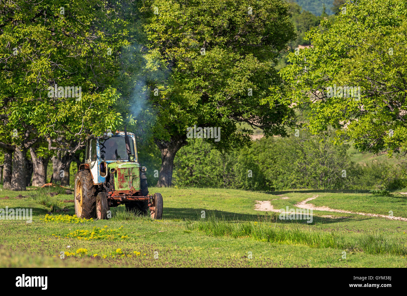 Old tractor on the grass field Stock Photo - Alamy