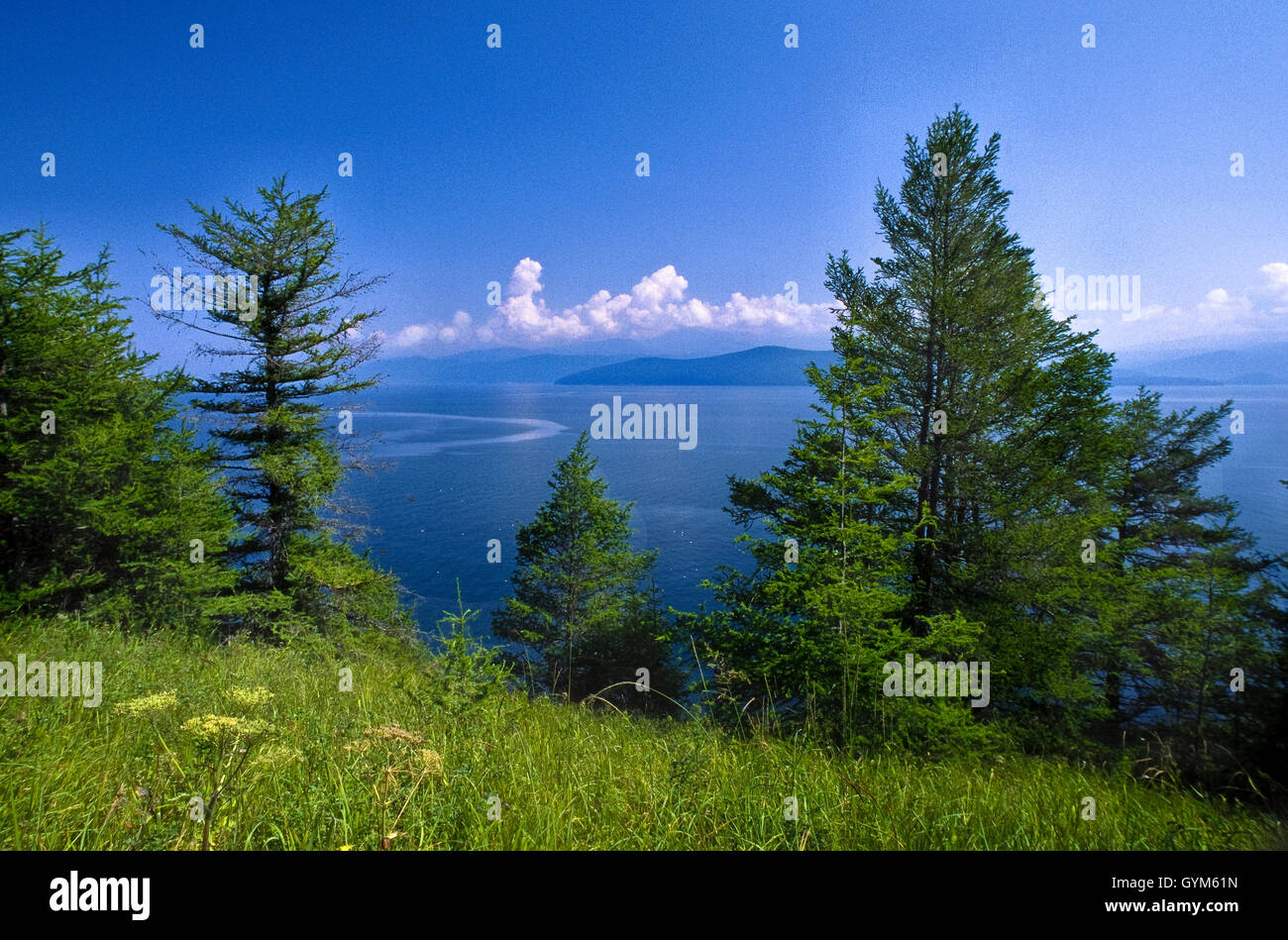 Baikal lake pollution hi-res stock photography and images - Alamy