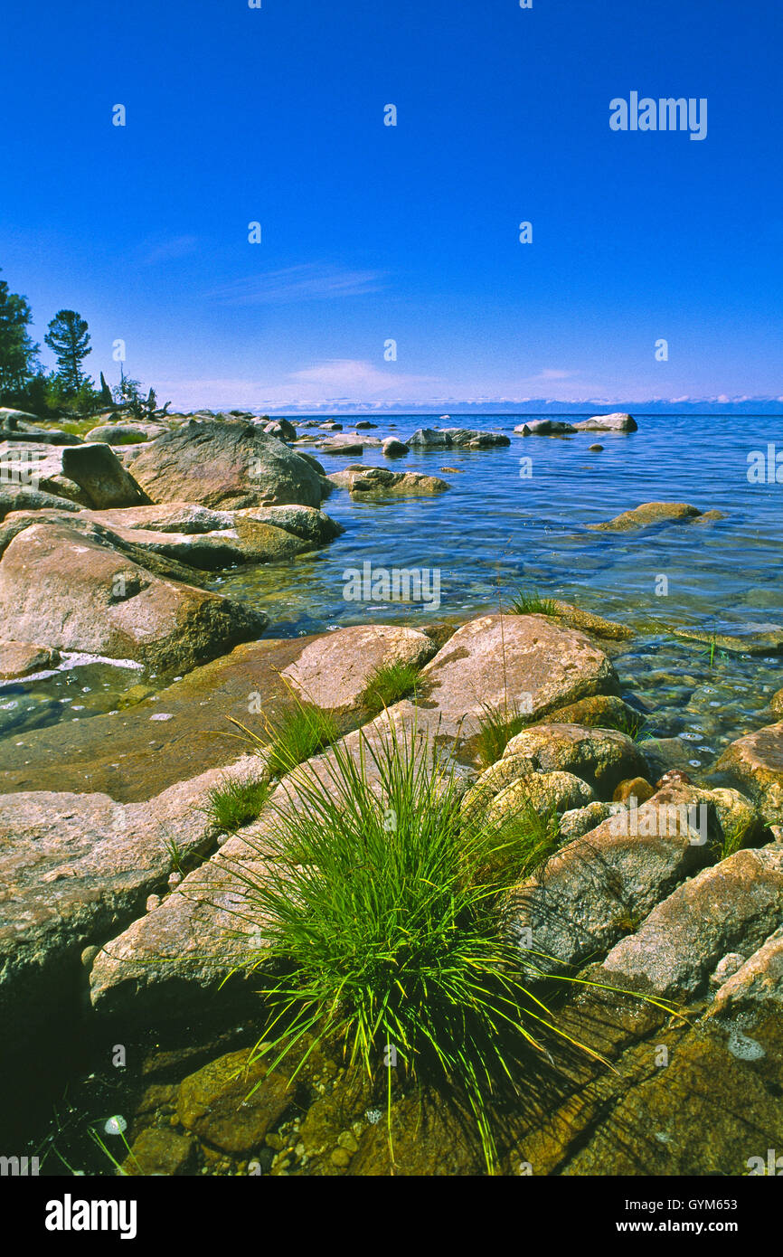 Zapovednik hires stock photography and images Alamy