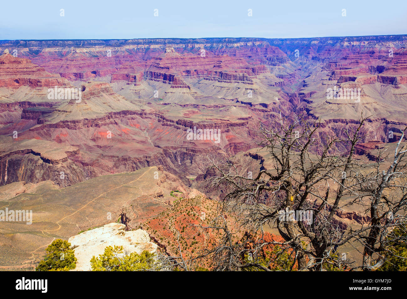 Arizona Grand Canyon National Park Yavapai Point Stock Photo - Alamy