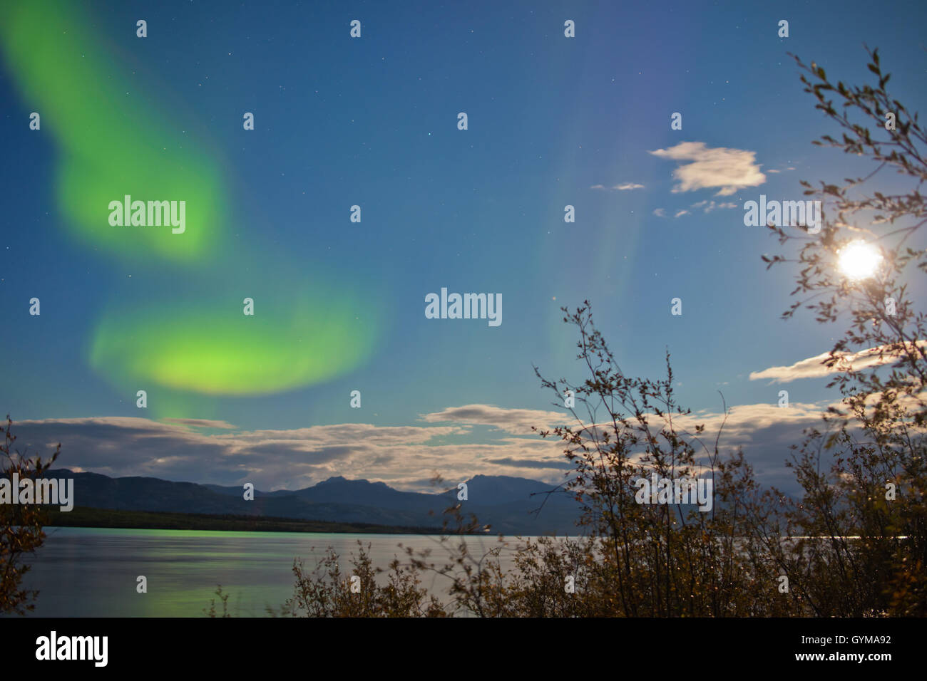 Aurora borealis full moon over Lake Laberge Yukon Stock Photo - Alamy