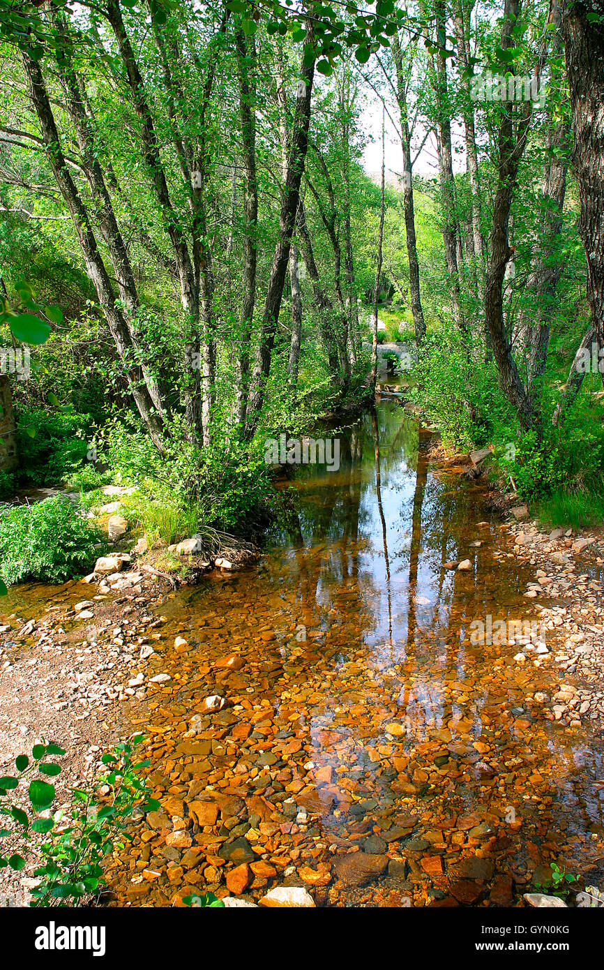 Alder river hires stock photography and images Alamy