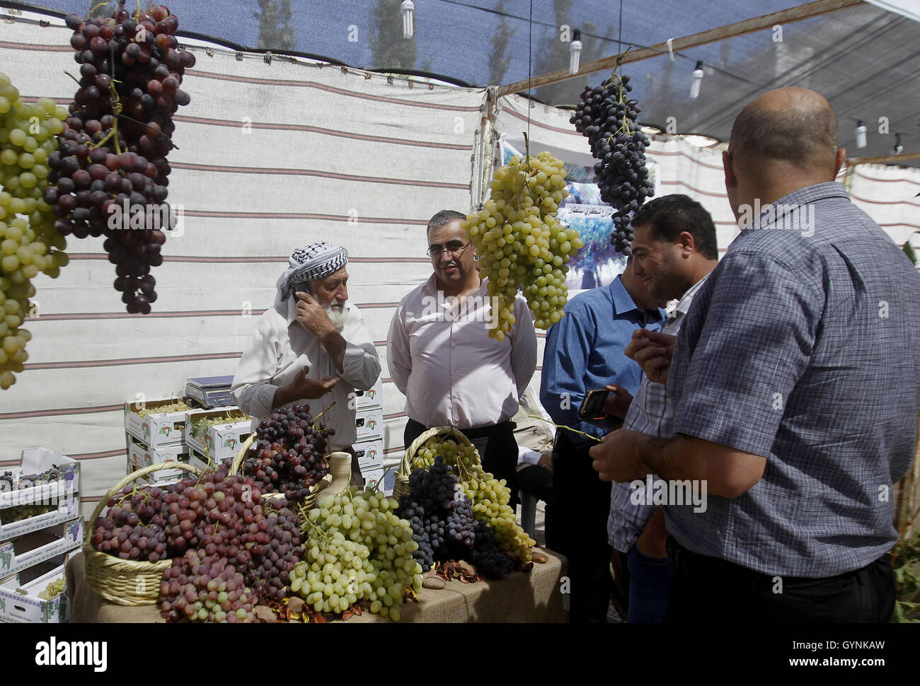 Hebron, West Bank, Palestinian Territory. 19th Sep, 2016. A Palestinian man displays Grapes, during the Palestinian grapes festival in Halhoul village, near the West Bank city of Hebron, on Sept. 19, 2016. Hebron is very famous in grape production as it contains many fields of grapes, the summer is the season of harvesting © Wisam Hashlamoun/APA Images/ZUMA Wire/Alamy Live News Stock Photo