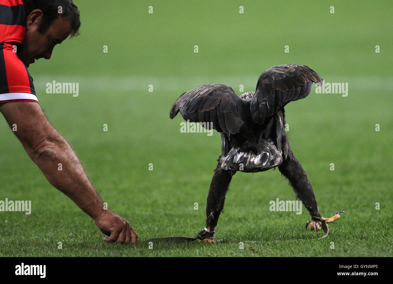 The eagles mascot hi-res stock photography and images - Alamy