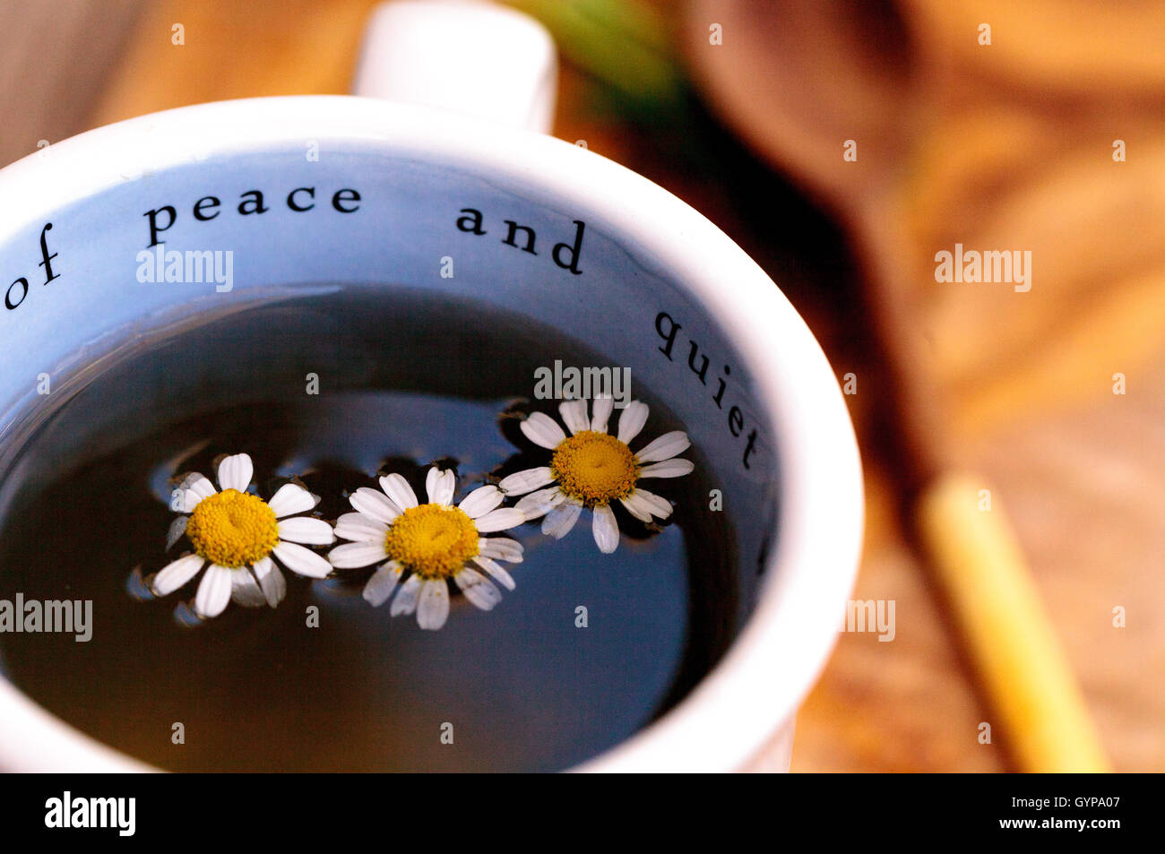 Chamomile tea with chamomile daisy flowers in a hot white cup on a ...