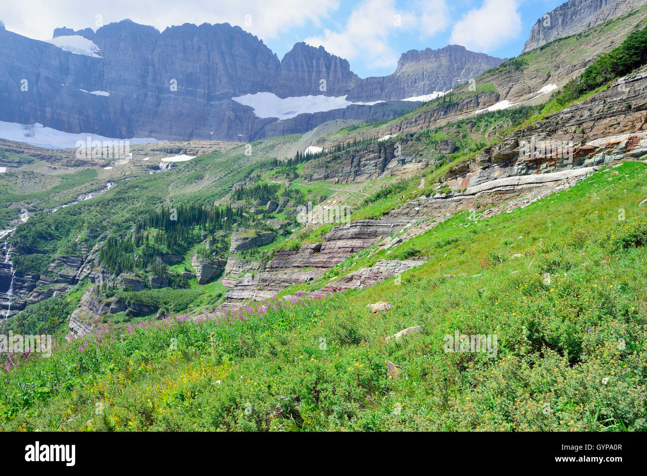 wild flowers and high alpine landscape of the Grinnell Glacier trail in ...
