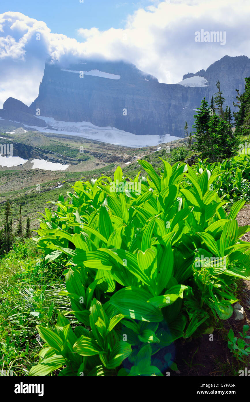 High alpine panoramic landscape of the Grinnell Glacier trail in ...