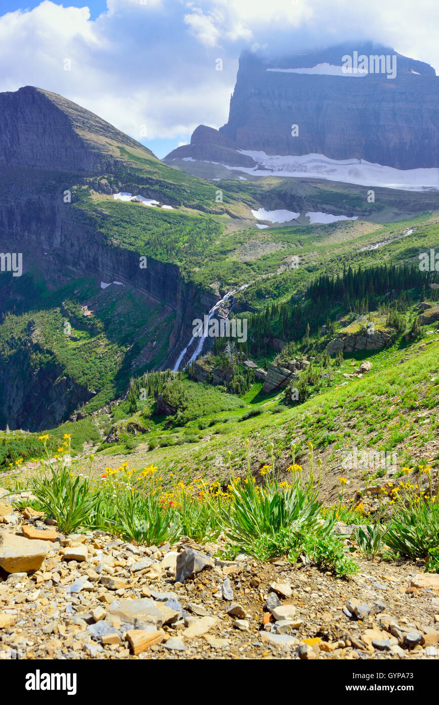 wild flowers and high alpine landscape of the Grinnell Glacier trail in ...