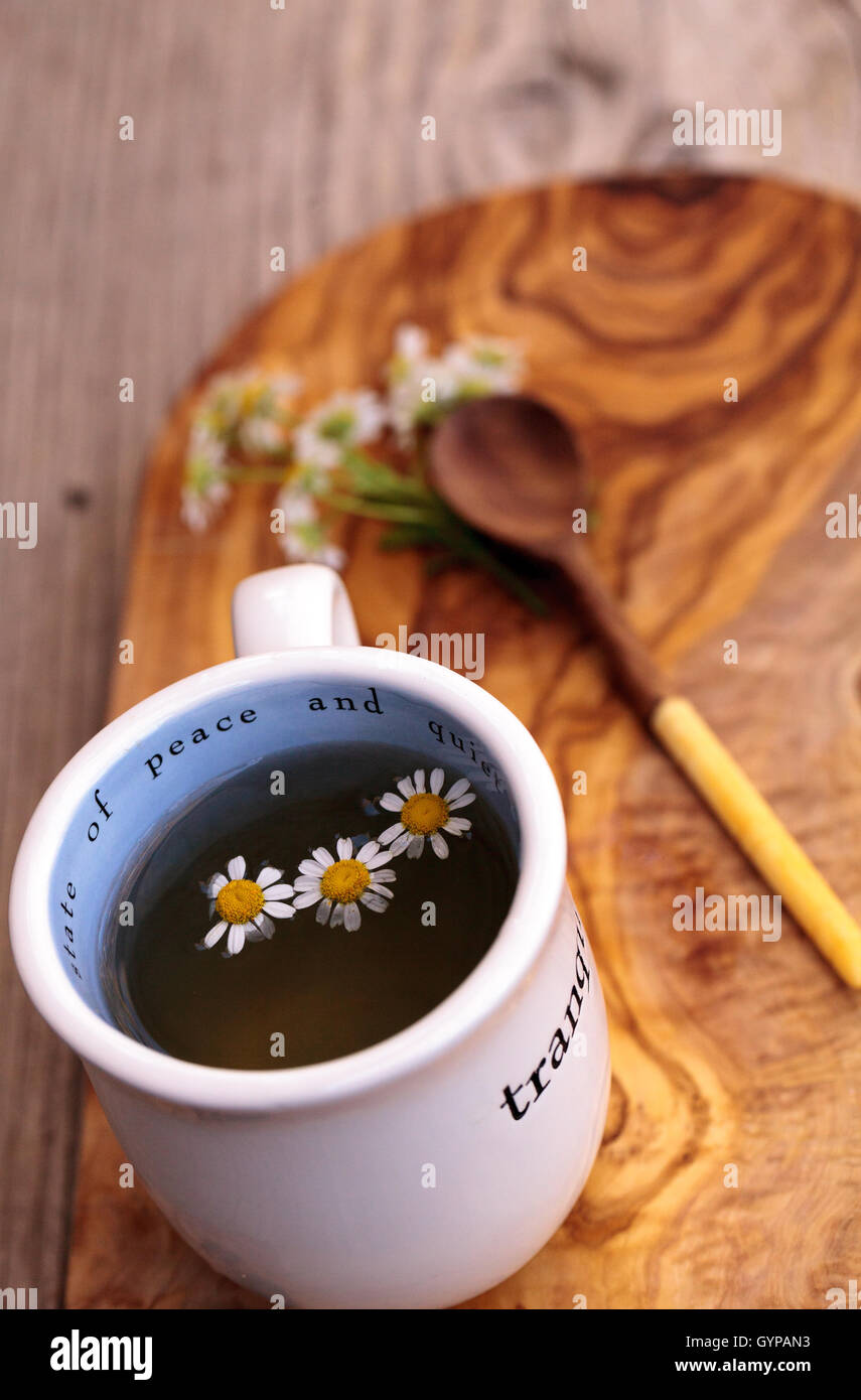 Chamomile tea with chamomile daisy flowers in a hot white cup on a ...