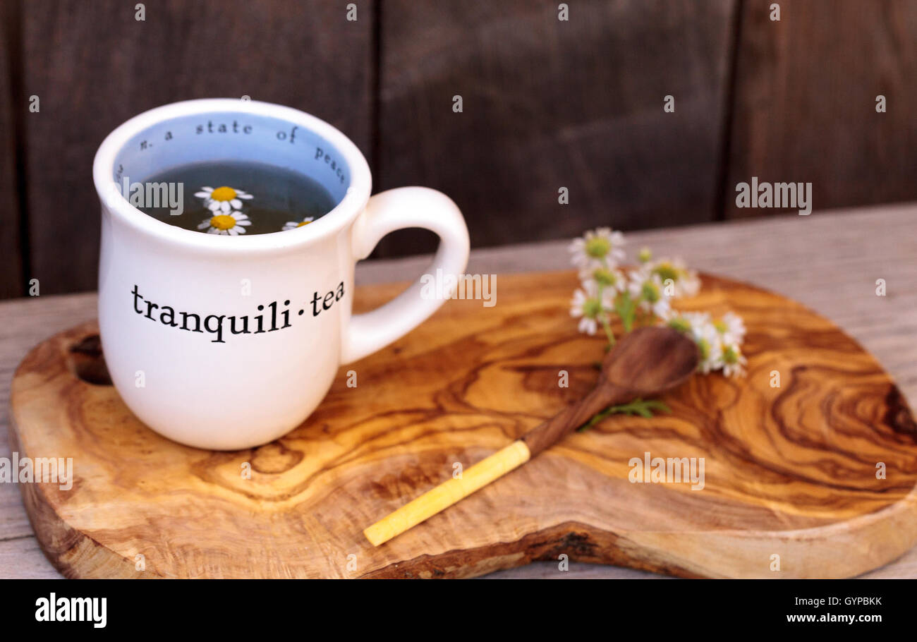 Chamomile tea with chamomile daisy flowers in a hot white cup on a ...
