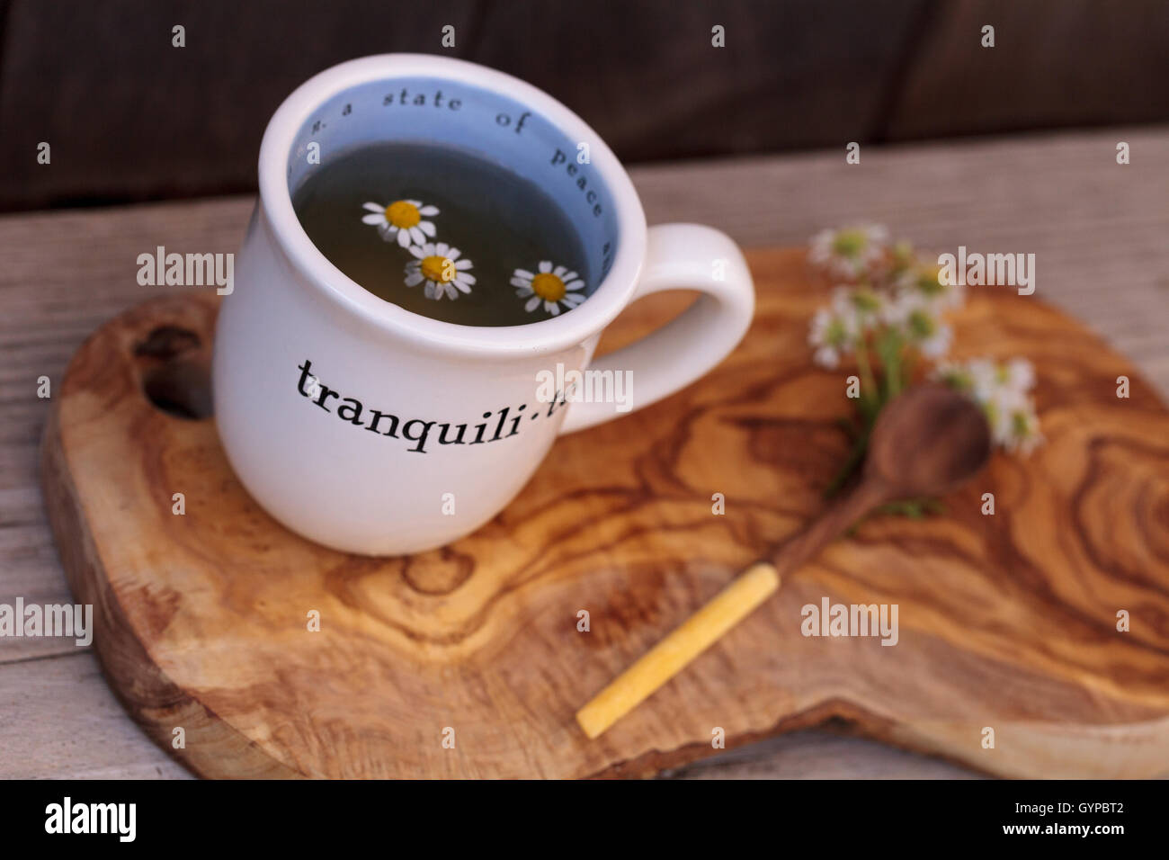 Chamomile tea with chamomile daisy flowers in a hot white cup on a ...