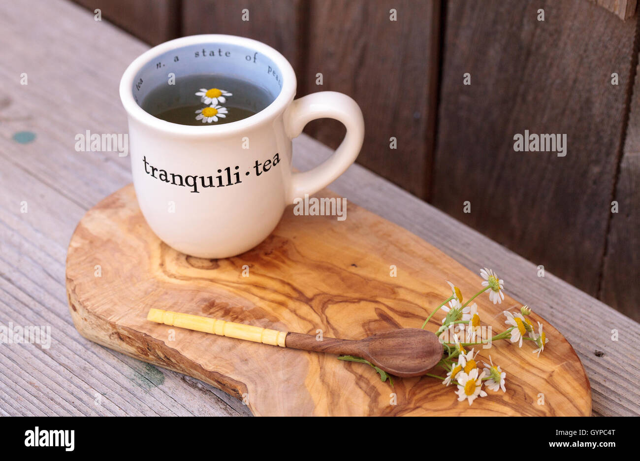 Chamomile tea with chamomile daisy flowers in a hot white cup on a ...