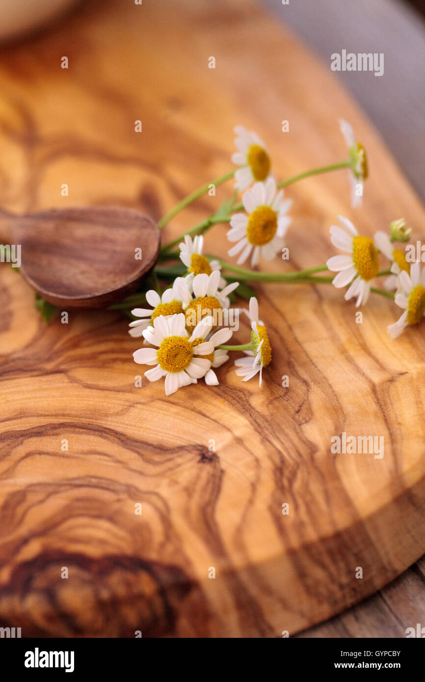 Chamomile tea with chamomile daisy flowers in a hot white cup on a ...