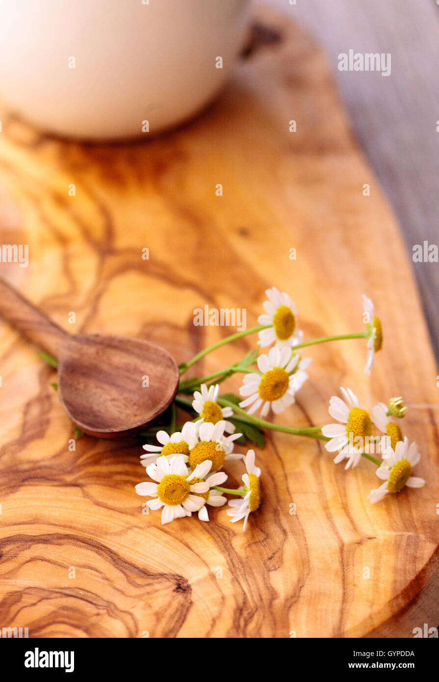 Chamomile tea with chamomile daisy flowers in a hot white cup on a ...