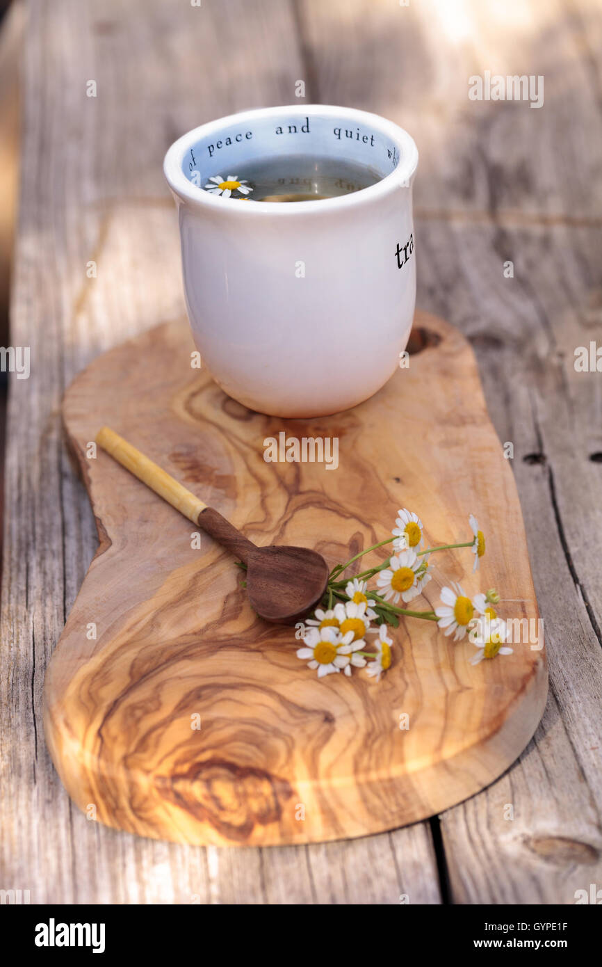 Chamomile tea with chamomile daisy flowers in a hot white cup on a ...