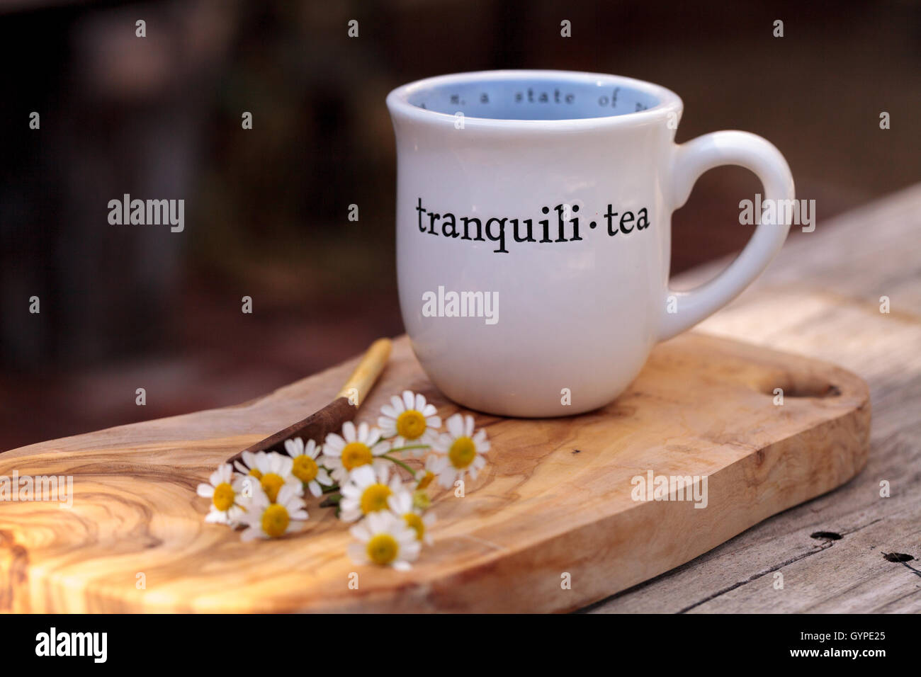 Chamomile tea with chamomile daisy flowers in a hot white cup on a ...